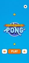 Splish Splash Pong Image