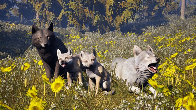 Susia - Wolf Life Simulator Image