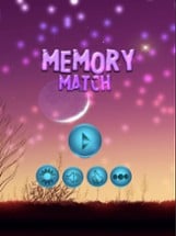 Animal Match Puzzle Game Image