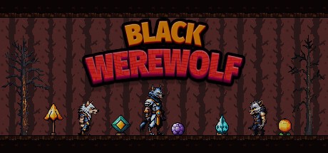 Games like BLACK WEREWOLF