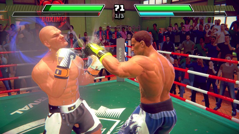 Casual Sport Series: Boxing screenshot