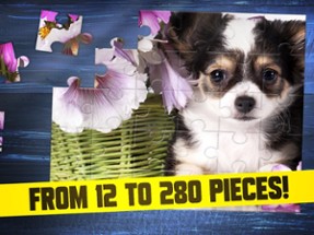 Cute Dogs Puppy Jigsaw Puzzle Image