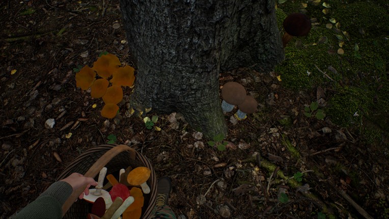 Mushroom Hunter Simulator screenshot