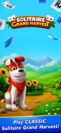 Solitaire Grand Harvest screenshot
