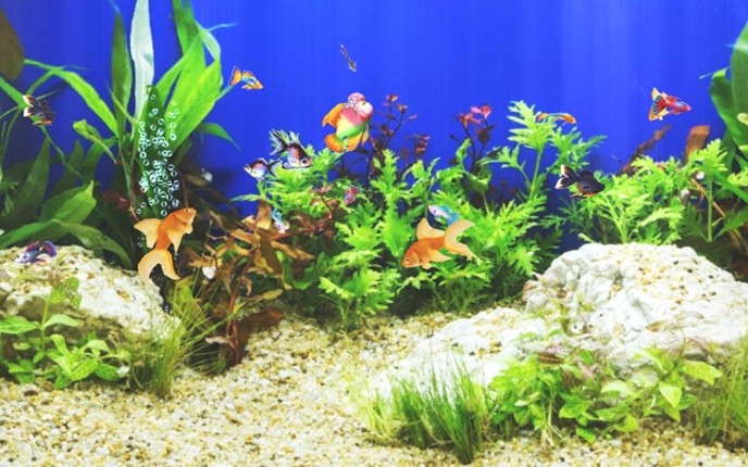 Aquarium Sim screenshot