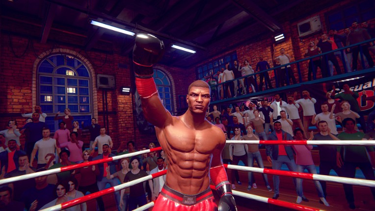 Casual Sport Series: Boxing screenshot