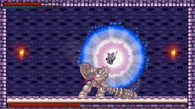 Cat Knight Image