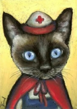 Nurse Snail On Duty Game Cover