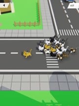 KITT.IO: Cat Arena Showdown Image