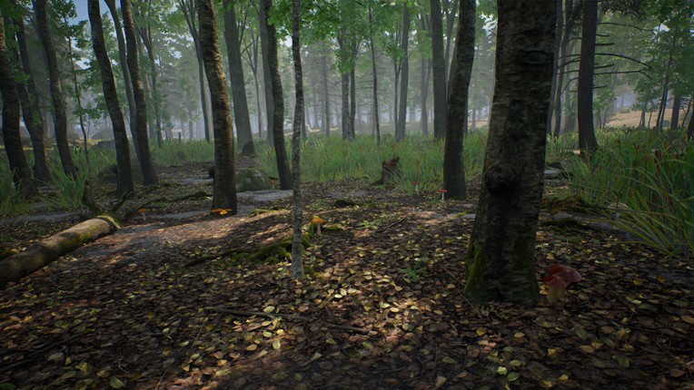 Mushroom Hunter Simulator screenshot