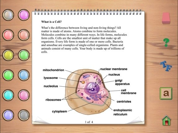 Reading Skills 4B Image