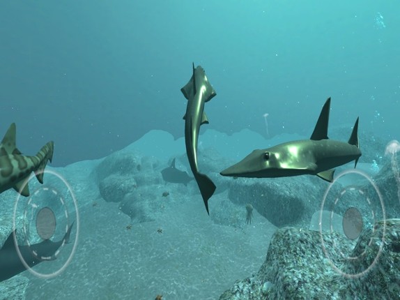Real Shark Simulator screenshot