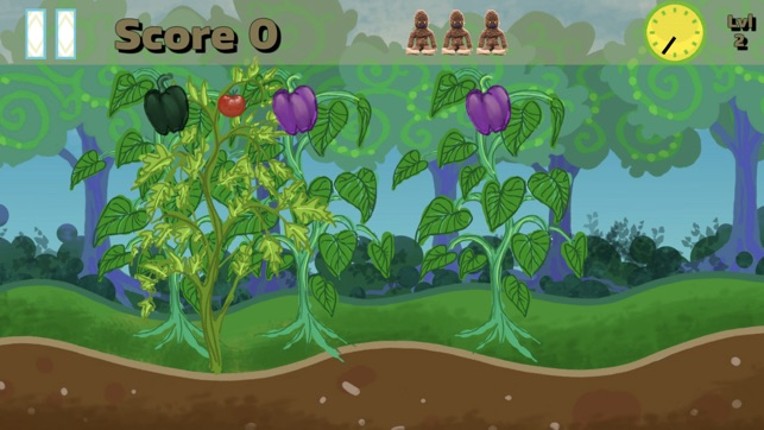 60 Second Sustainability Image