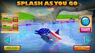 Dolphin Racing 3D Image