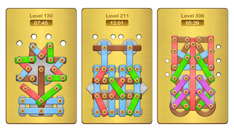 Screw Pin: Nuts & Bolts Puzzle Image