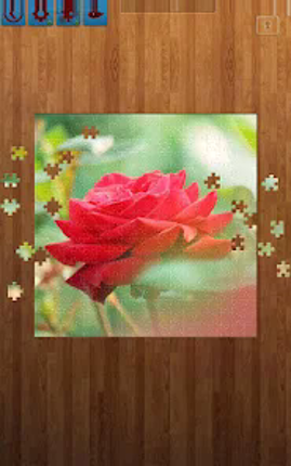 Flower Jigsaw Puzzles screenshot