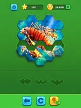 Hexa Jigsaw Puzzle ® Image