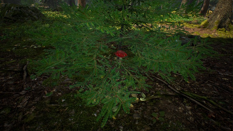 Mushroom Hunter Simulator screenshot