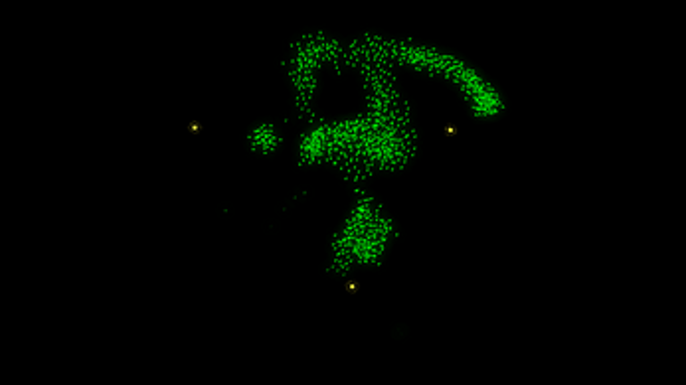 An Interactive Boids Simulation Image