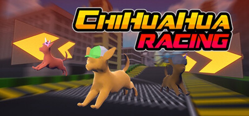 Chihuahua Racing Image