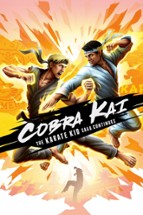 Cobra Kai The Karate Kid Saga Continues Image