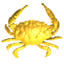 Crabs Image