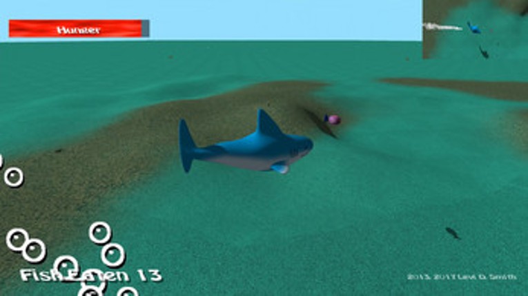 Shark Food Image