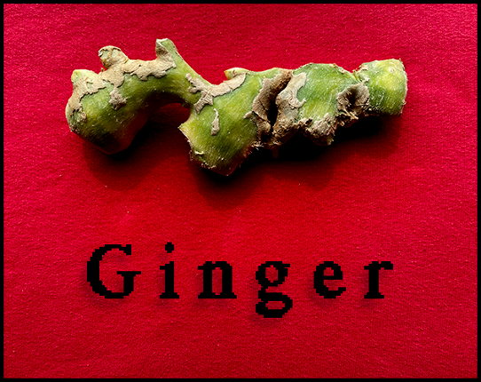 Ginger Game Cover