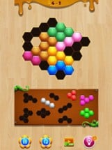 Wood Hexa Block Puzzle Image