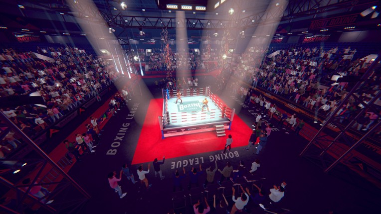 Casual Sport Series: Boxing screenshot