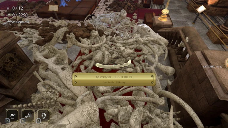 DinoBones: Tidy Up the Museum Image