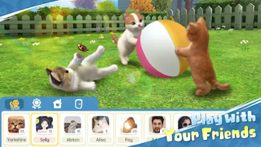 Kitten: Cat Game Simulator Image