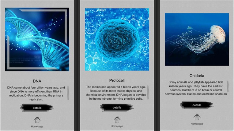 Jigsaw puzzle - Evolution screenshot