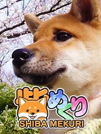 Shiba Mekuri Image