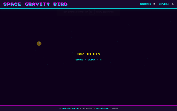 Space Gravity Bird Image