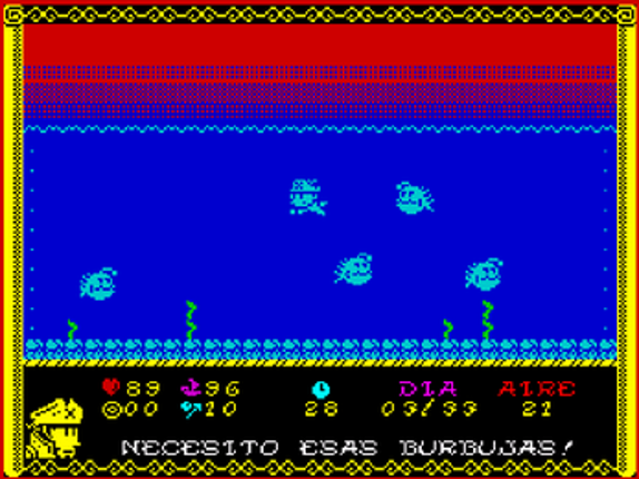 The Fate of the Pirate Image