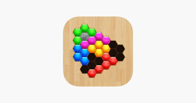 Wood Hexa Block Puzzle Image