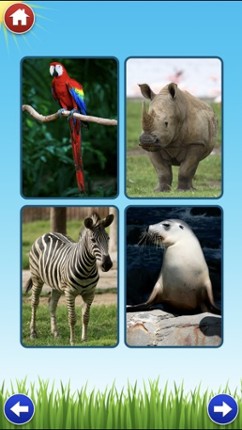 Zoo Sounds Lite - A Fun Animal Sound Game for Kids Image