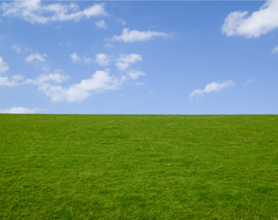 all we know are the things we have learned. Image