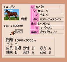 Derby Stallion Expert Kit Image