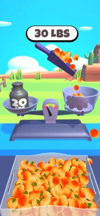 Farmers Market 3D screenshot