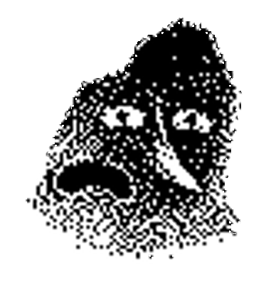 GHOST COIN Image