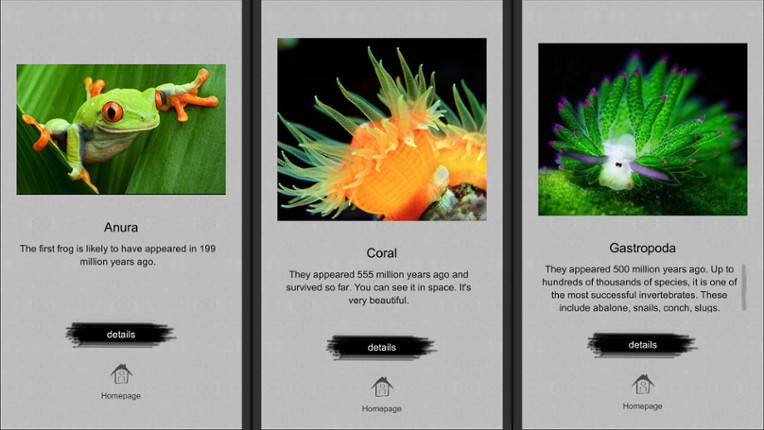 Jigsaw puzzle - Evolution screenshot
