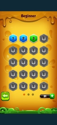 1001 Hexagon Block screenshot