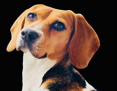 Games like Marcie Run