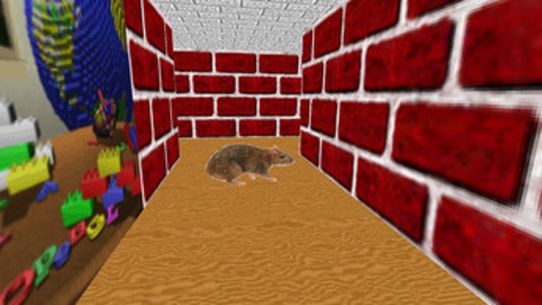 Windows 3D Maze Screensaver Game Image