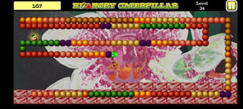 Hangry Caterpillar Image