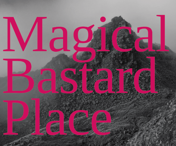 Games like Magical Bastard Place