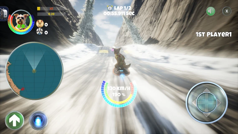 PupRacers Image