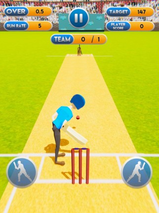 Cricket World Cup Mayhem 2019 Image
